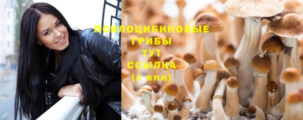 тгк Кулебаки