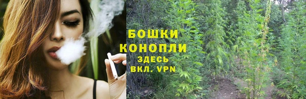 тгк Кулебаки