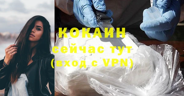 дурь Краснослободск