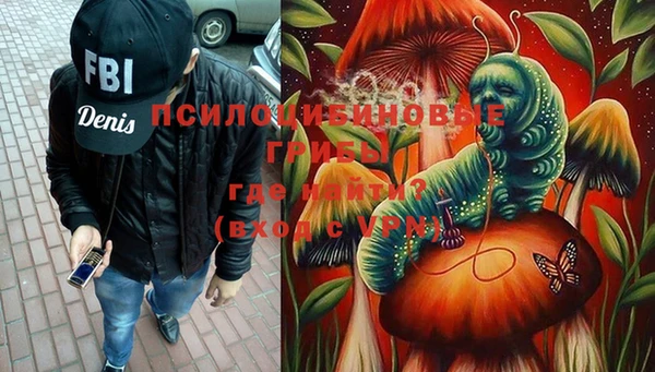ПСИЛОЦИБИНОВЫЕ ГРИБЫ Куйбышев