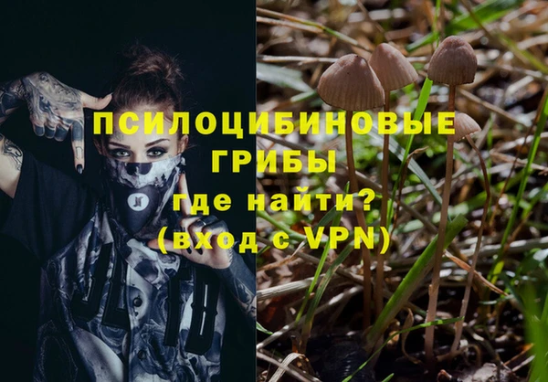 тгк Кулебаки