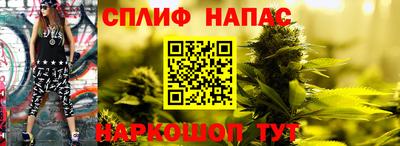 a pvp Белореченск