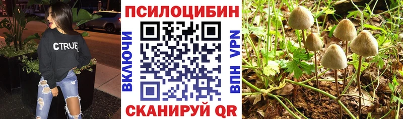 KRAKEN   хочу   Лиски  Псилоцибиновые грибы прущие грибы 