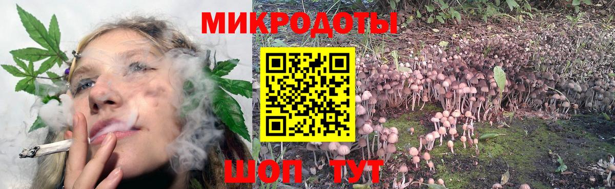 Лиски  Псилоцибиновые грибы MAGIC MUSHROOMS  Галлюциногенные грибы прущие грибы  что такое   Вход с VPN 